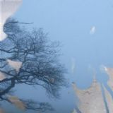 Download Stormy Cell Phone Software